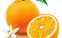 橙子的寓意是什么？（橙字含义）