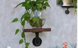 怎样把盆栽固定在墙上？