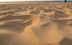 beach和sand有什么区别吗？（sand名字含义）