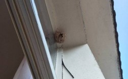 我的卧室外窗口上方，有蜜蜂做了个蜂巢，风水上有什么寓意吗？