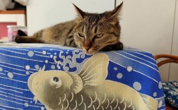 猫和鱼的象征意义？