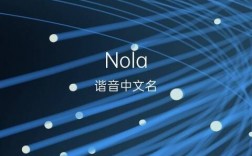 NOLA的中文名字是什么？（nola名字含义）
