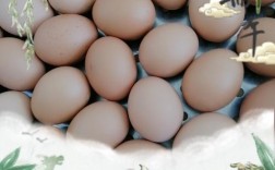 为什么人们端午节要吃鸡蛋？（端午吃鸡蛋的含义）