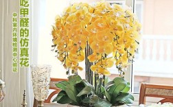 为什么说客厅不能插黄色的花？