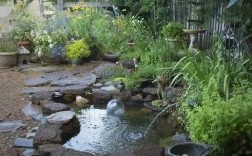 院子建鱼池溪流环绕好吗？