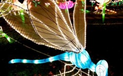 晚上在灯光下的监控拍到的蜻蜓在飞有可能显示成白光吗？