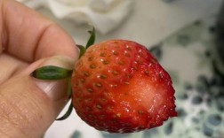单身女同事送给自己一个草莓吃，代表什么意思？