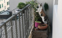 阳台养猫好不好？