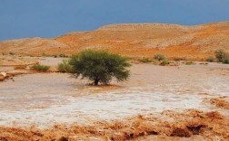 沙漠里出现大量的水是什么情况？