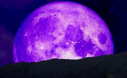 紫色月光什么意思？（紫色月亮含义）