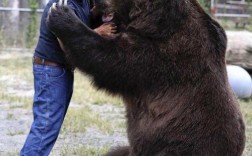 熊的哪里大？
