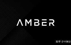 AMBER什么意思？（amber的含义）