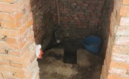 农村为什么会改造厕所？