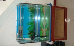 一个鱼缸长60cm宽高分别多少好？