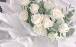 一个女生送一个男生一束白玫瑰是什么意思啊？（19朵白玫瑰的含义）