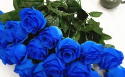 蓝玫瑰的含义是什么？（蓝玫瑰 含义）