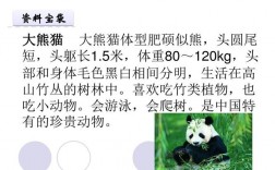 大熊猫的外形特点简单说？