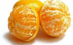 橘这个字读什么？（橘的含义）