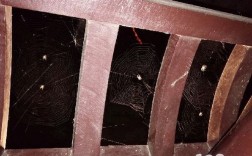家里经常坐的沙发一夜突然布满蜘蛛网是什么意思？