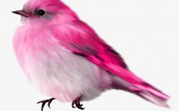 周公解梦家里飞来一只粉色的小鸟？