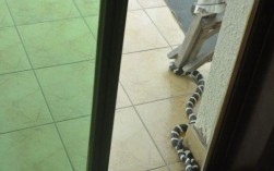 怎么防止蛇爬进家里？