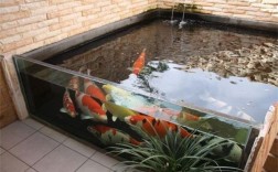 房子院内可以砌水池养鱼吗？