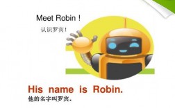 “robin”是什么意思？（robin人名含义）