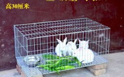 兔子可以放在露天阳台养吗？（有笼子）？