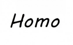 HOMO是什么意思？（含义Maria）