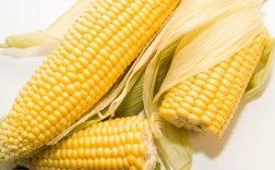 孕期血糖高真的能吃玉米吗？