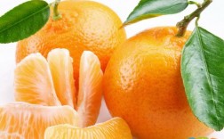 橘子有什么含义？（桔子含义）