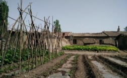 家有空房在农村，可以发展什么种植和养殖业？