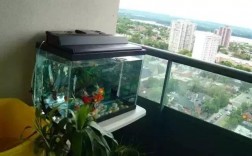 家里空鱼缸放阳台上可以吗？