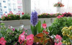 家里能养花吗？