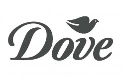 dove有什么寓意？（dove的含义）