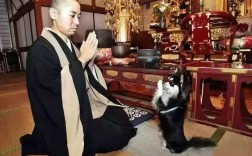 佛教如何看待养宠物？