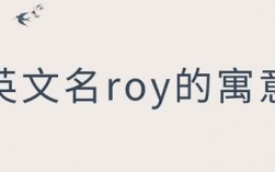 roy是名还是姓？（roy含义）
