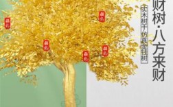 黄金发财树摆放在什么位置好？