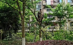 小区绿化树木损坏如何赔偿？