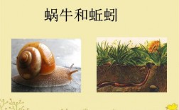 《蜗牛和蚯蚓》全文呢？