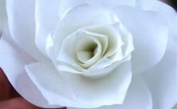 七夕送白色纸玫瑰的含义是什么？（纸玫瑰含义）