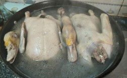 整只鸭子煮多久才会熟？