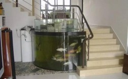 养鱼可以养在楼梯上吗？