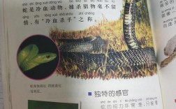 描写蟒蛇可怕的句子？