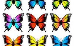 五颜六色彩蝴蝶代表什么数字？