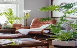 适合家里养的风水植物——打造和谐宜居的家居环境