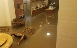 房子进水了对家里的危害？
