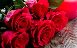 红玫瑰代表什么意思和含义？（红色玫瑰代表什么含义）