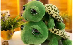 乌龟毛绒玩具家里摆放好吗？