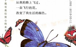 有哪些关于蝴蝶的古诗？
